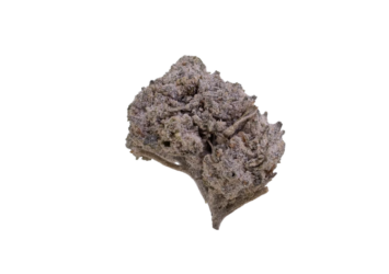 Flower OG Kush 22 Small