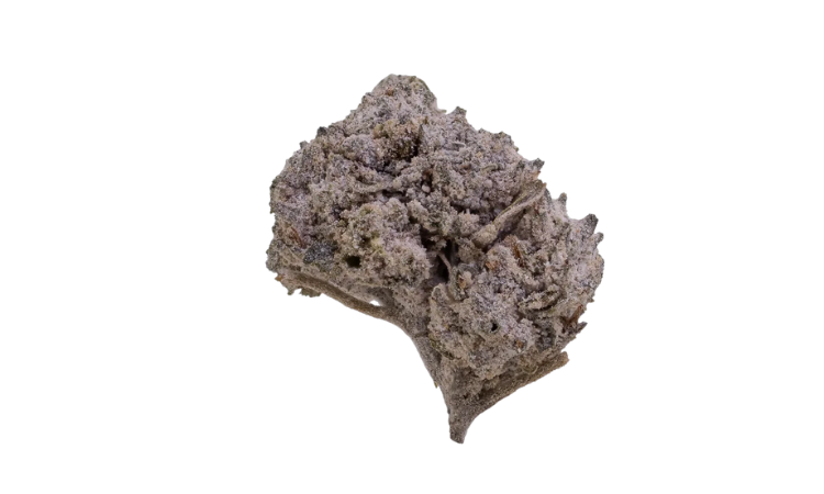 Flower OG Kush 22 Small