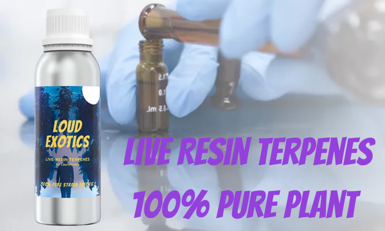 Live Resin Terpenes 100%