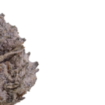 OG Kush 22 Small THCA flowers Coated-