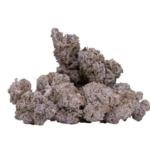 Purple Candy 24 THCA Flower