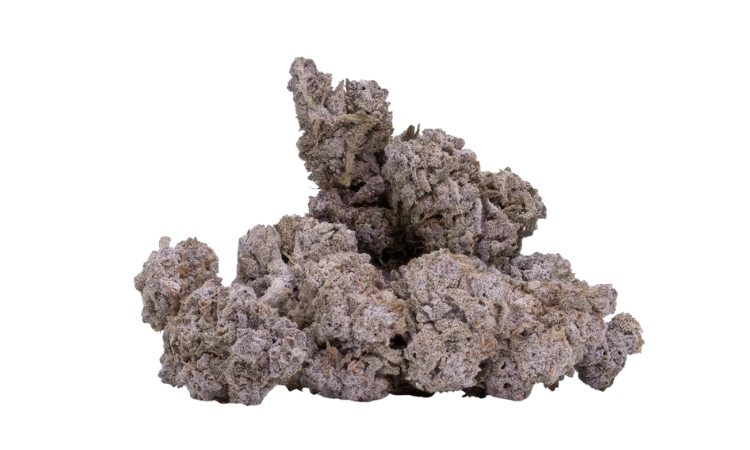 Purple Candy 24 THCA Flower
