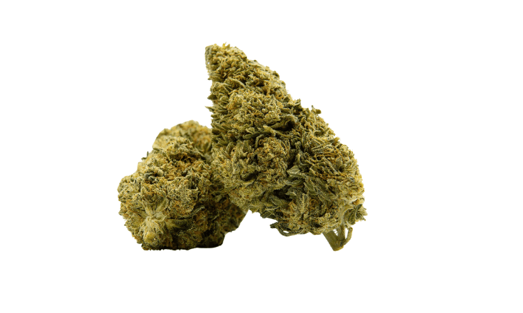 black diesel superior flower