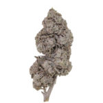 Bubblegum THCA Flower