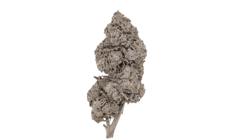 Bubblegum THCA Flower