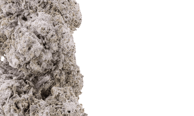 Ice Indoor 24 THCA Flower.