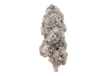 Ice Indoor 24 THCA Flower