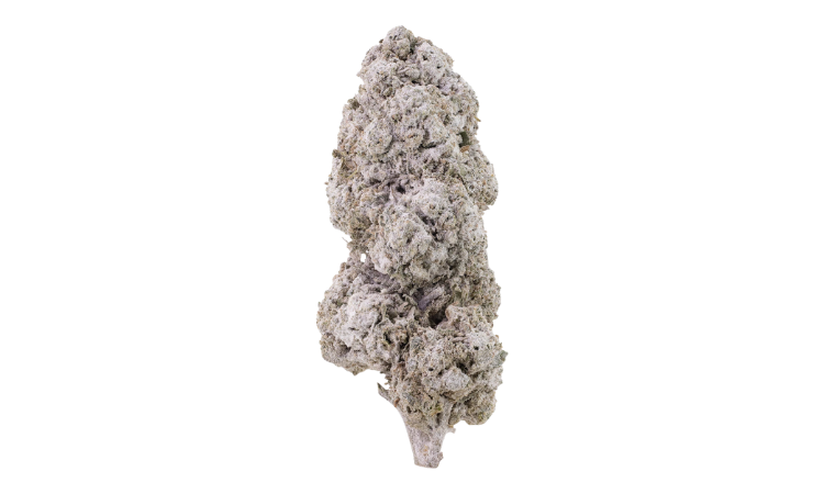 Ice Indoor 24 THCA Flower