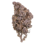 Kitty Indoor 22 THCA Flower