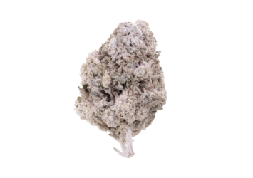 Lemon Cheese Indoor THCA Flower