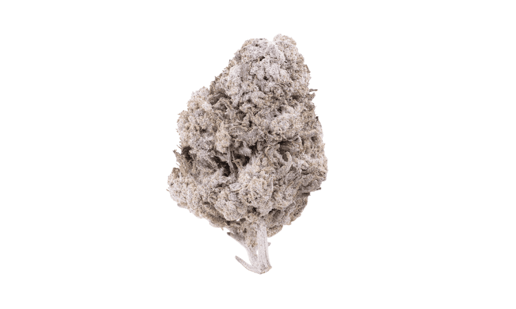 Lemon Cheese Indoor THCA Flower