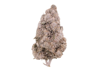 Zkittles Indoor 24 THCA Flower