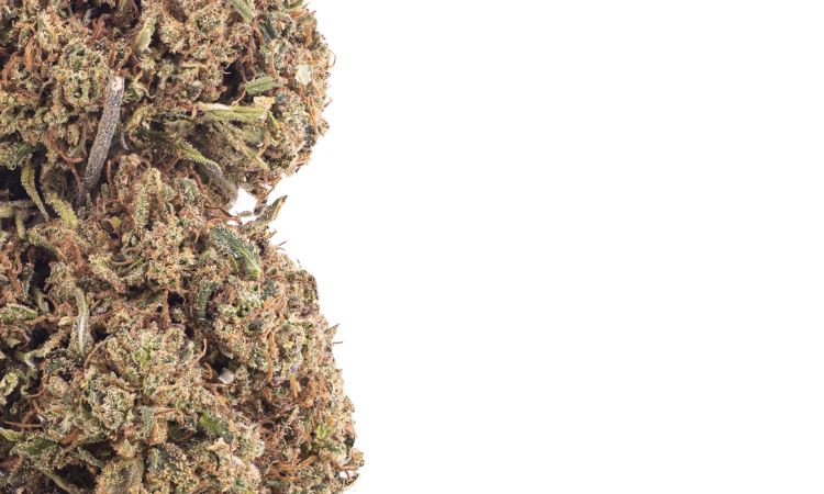 Bubble Pop CBD flower 2