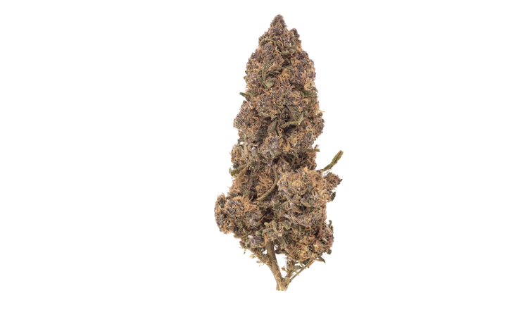 Cheetah Kush CBD flower 1