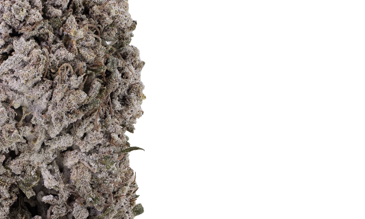 Cherry Pie THCA Flowers 23%