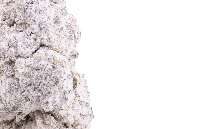 Fruit Cake THCA Flowers