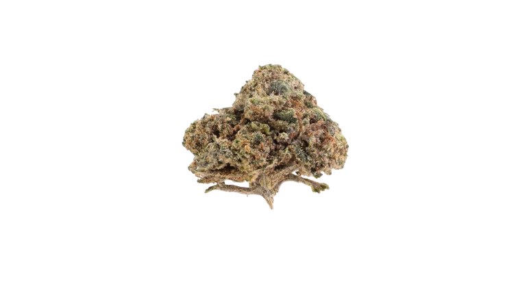 Orange Small Buds CBD flowers