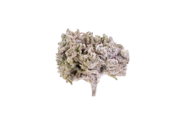 Orange Small THCA flower