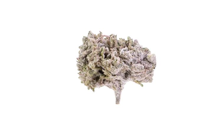 Orange Small THCA flower