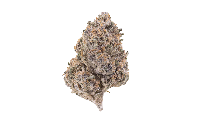 Pink Panther Glasshouse THCA flower