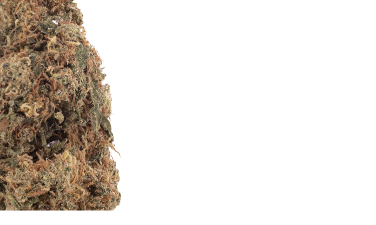 Rainbow Runtz CBD flower 1