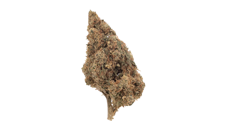 Rainbow Runtz CBD flower