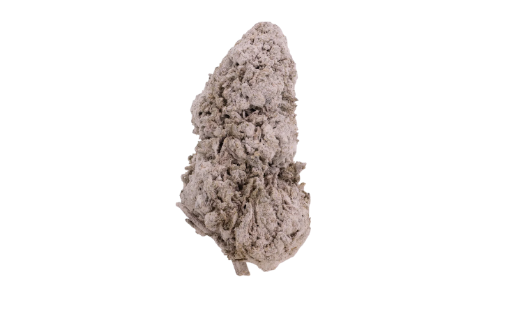 Rhino O.G. Indoor THCA flowers