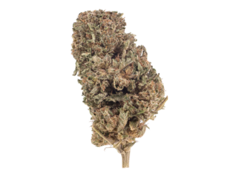 Bubba Kush CBD flower 1