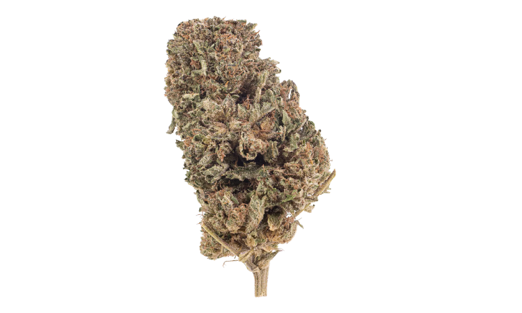 Bubba Kush CBD flower 1