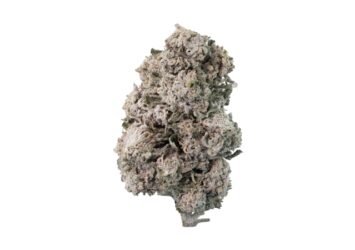 Dream Tonic THCA flower