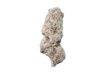 Flower thca Lemoncello 27thca