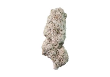 Flower thca Lemoncello 27thca