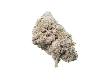 Gelato THCA flower