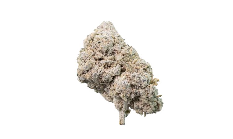 Gelato THCA flower