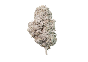 Orange THCA flower