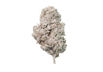Orange THCA flower