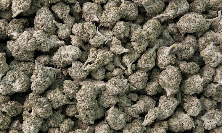 Pineapple THCA flower 27%