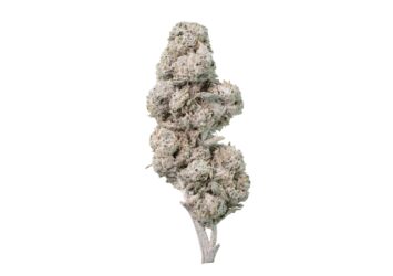Pineapple THCA flower 27%